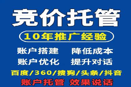SEM服务托管实战案例：提升品牌知名度